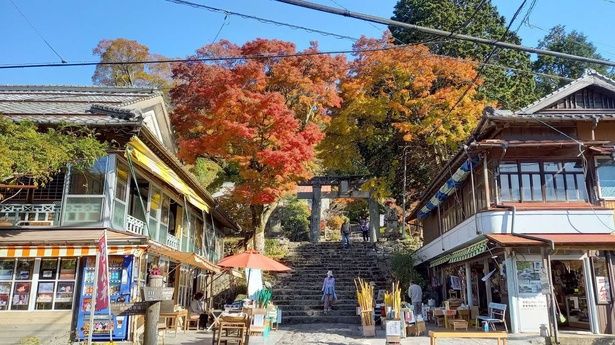 鳥居を彩る鮮やかな紅葉が見事だ/英彦山の紅葉 画像提供：添田町役場