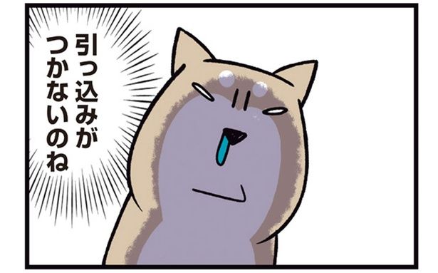 引っ込みがつかないのね （C）宮路ひま／KADOKAWA