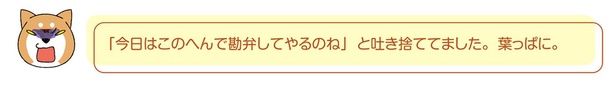 今日はこのへんで勘弁してやるのね （C）宮路ひま／KADOKAWA