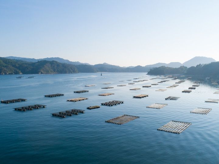 All About ニュース編集部は、全国10～70代の男女250人を対象に「移住したい市」に関する独自のアンケート調査を実施。宮城県の市で「移住したい」と思う市で1位に選ばれたのは？