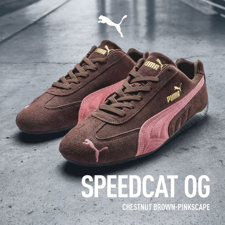 SPEEDCAT OG 
