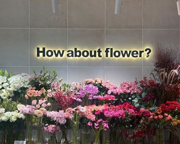 思わず引き寄せられるようなおしゃれでワクワクする店内