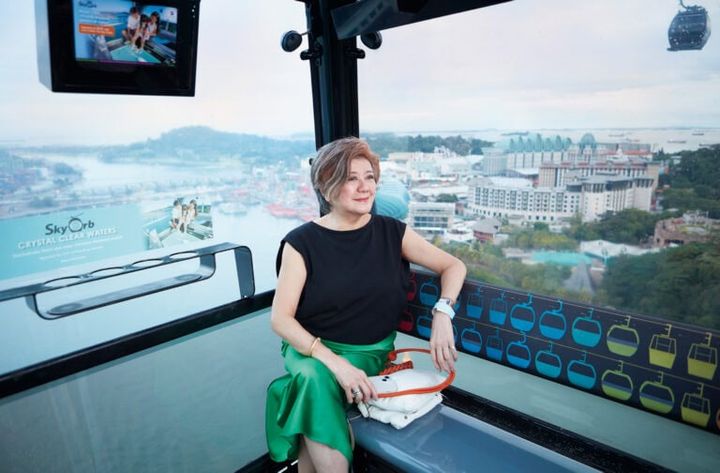 本土の小高い丘、マウントフェーバーとセントーサ島を結ぶケーブルカーからの景観は圧巻！