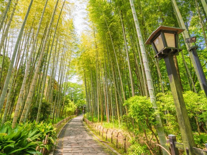 All About ニュース編集部が全国250人を対象に実施した「東京から日帰りで行きたい温泉に関するアンケート」の調査結果から、「日帰りで行きたい静岡県（伊豆・熱海・東伊豆エリア）の温泉地」ランキングを発表！ 2位「修善寺温泉」を抑えた1位は？