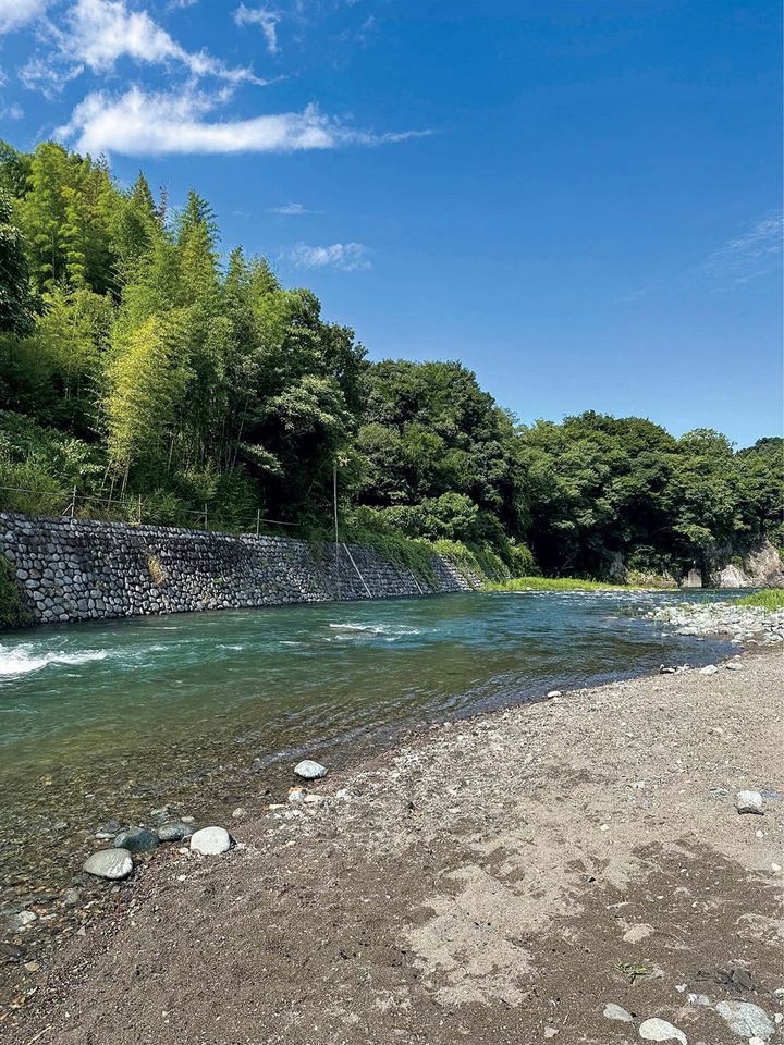 相模原の道志川