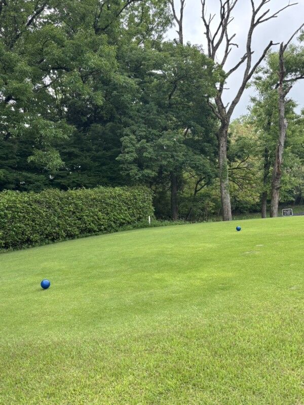 上級者が教える“ティーグラウンドの罠”とは？見分け方を解説