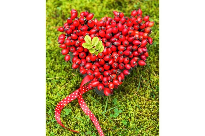 ハート形のフラワーアレンジ用スポンジにローズヒップをびっしりと刺しただけ。側面にリボンを貼ればより完成度がアップ。