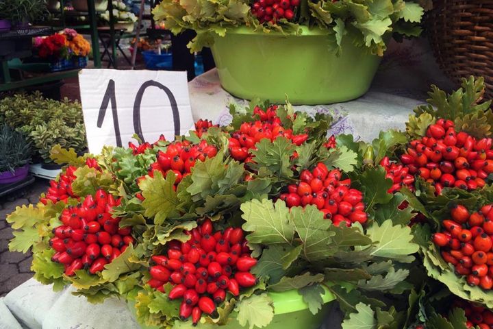 アメリカのフラワーマーケットで売られているローズヒップの小束。日本でもこれくらいポピュラーになったらうれしい。