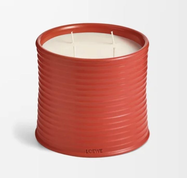 ハイブランド】お家のQOLを上げたい方必見！ロエベのトマトリーフ