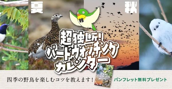 日本野鳥の会が、パンフレット『超独断！バードウォッチングカレンダー』をプレゼント