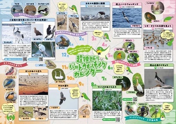 日本野鳥の会が、パンフレット『超独断！バードウォッチングカレンダー』をプレゼント