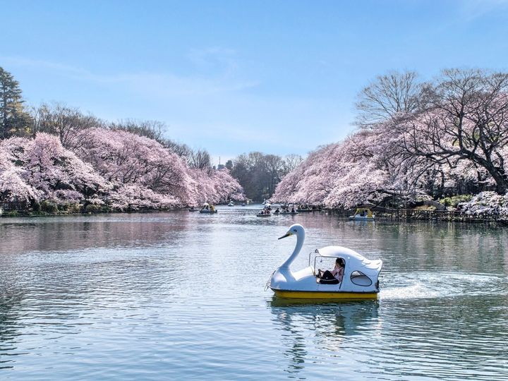 All About ニュース編集部は、全国20～60代の男女250人を対象に「移住したい市」に関する独自のアンケート調査を実施。東京都の市（23区以外）で「移住したい」と思う市で1位に選ばれたのは？