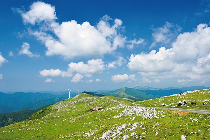 冬でも走れる絶景ロード10選