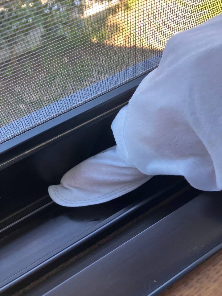 Seria(セリア)：除菌ができるお掃除用ウェット手袋