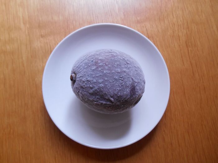 アボカドは『丸ごと冷凍』するのが正解！？丸ごと、半割り、カットで比べてみた結果