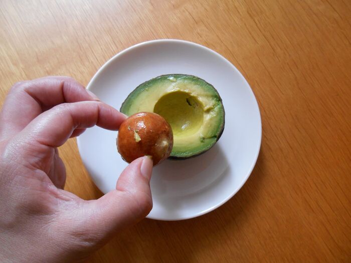 アボカドは『丸ごと冷凍』するのが正解！？丸ごと、半割り、カットで比べてみた結果