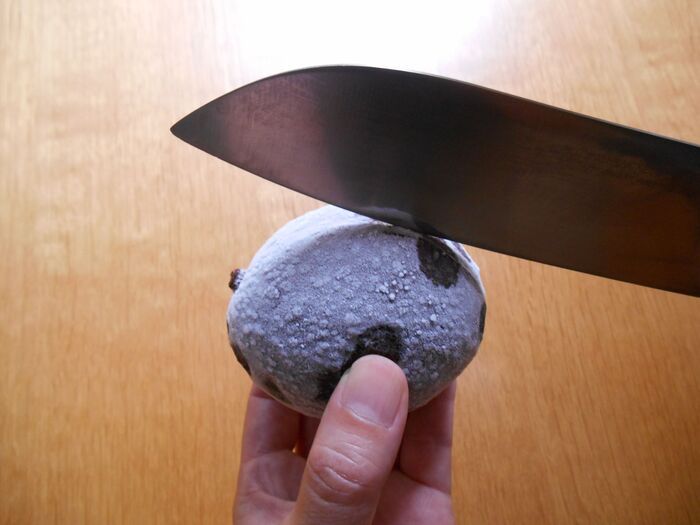 アボカドは『丸ごと冷凍』するのが正解！？丸ごと、半割り、カットで比べてみた結果