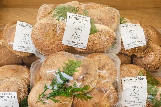 つばめマルシェ with FUKU MARCHE STORE しいたけ