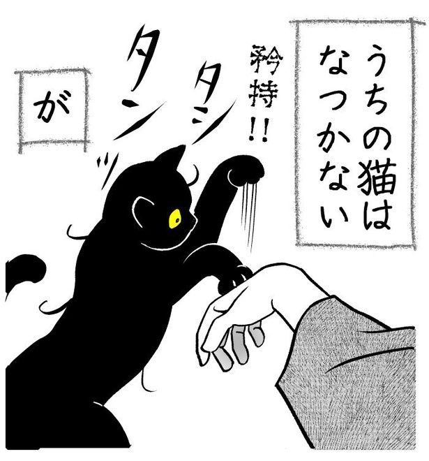 吸いすぎておかしい猫01 画像提供：筆坊日記(@720yushin)