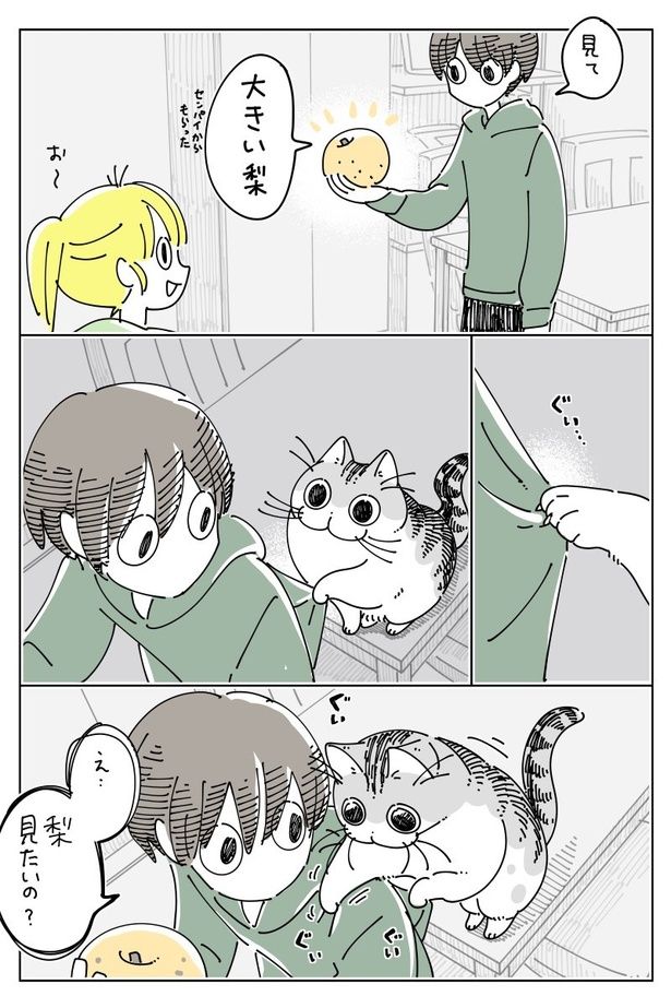 『大きな梨』01 画像提供：キュルZ@kyuryuZ