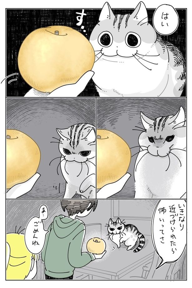 02 画像提供：キュルZ@kyuryuZ