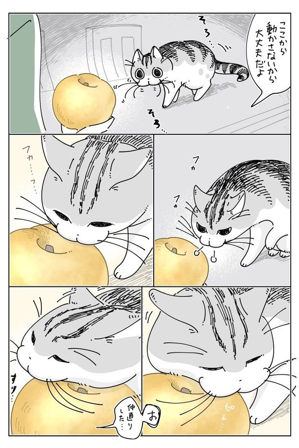 03 画像提供：キュルZ@kyuryuZ