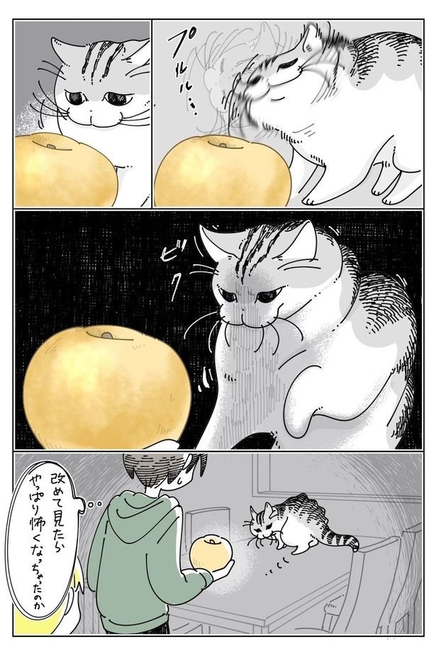 04 画像提供：キュルZ@kyuryuZ