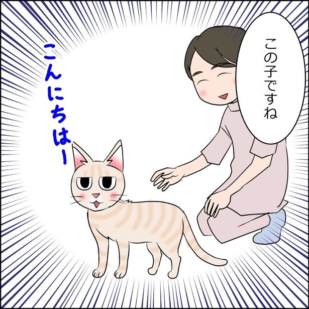 猫が来た日麦編8-1 画像提供：暁龍さん