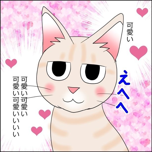  猫が来た日麦編 画像提供：暁龍さん