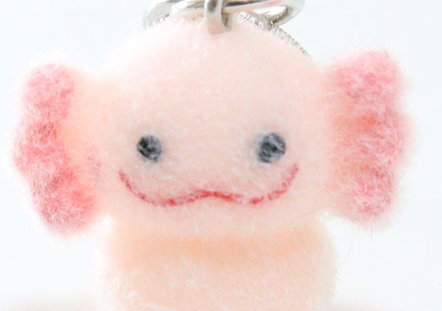 ダイソーのフロッキーキーホルダーのウーパールーパーの顔