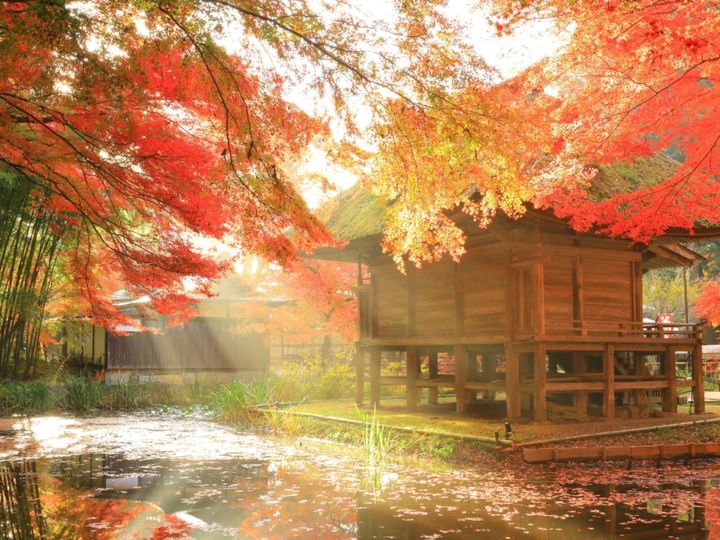 All About ニュース編集部が全国250人を対象に実施した「古都に関するアンケート」の調査結果から、「好き＆行ってみたい『日本の古都』ランキングを発表！ 2位「平泉（岩手県平泉町）」を抑えた1位は？