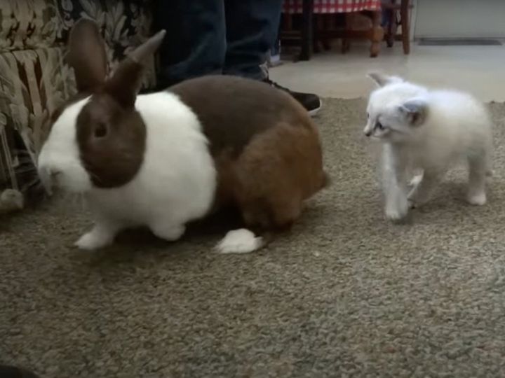 ちょっぴり緊張の初対面……