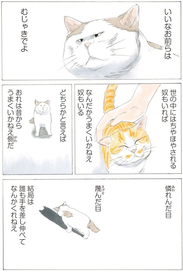 どちらかと言えば （C）やすらぎさん、にごたろ／KADOKAWA