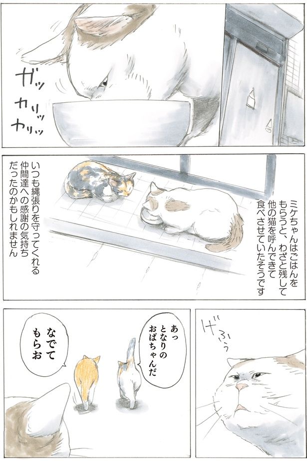 仲間達への感謝の気持ち （C）やすらぎさん、にごたろ／KADOKAWA