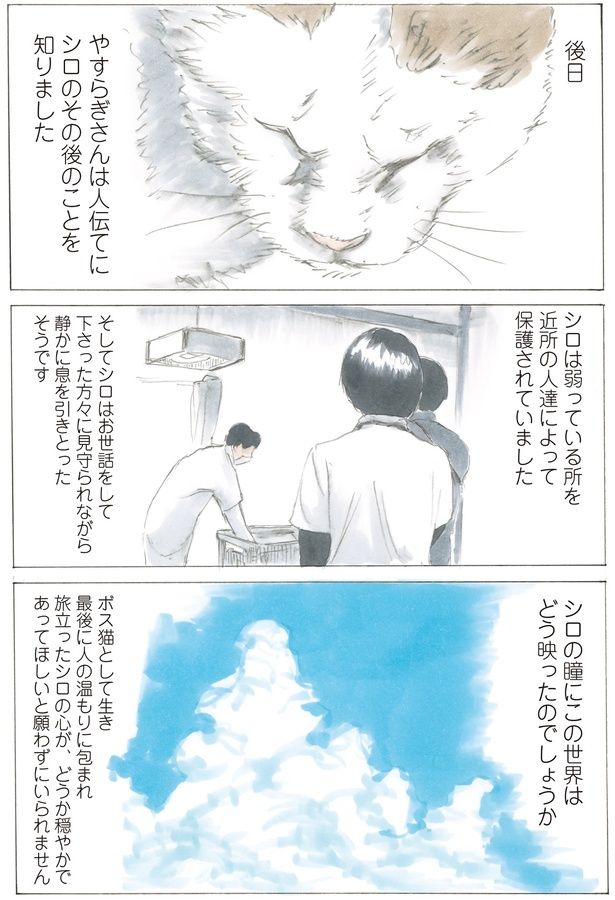 後日 （C）やすらぎさん、にごたろ／KADOKAWA