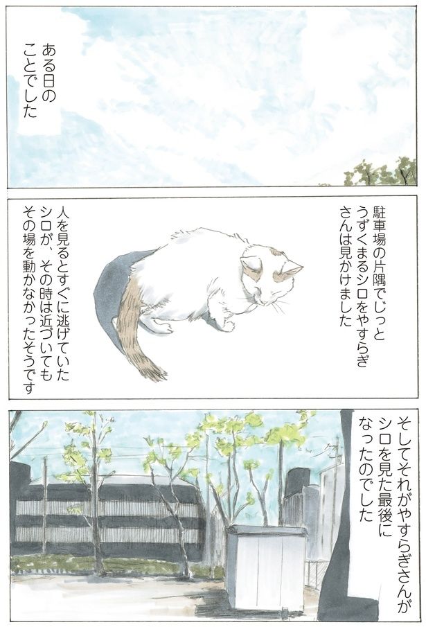 ある日のことでした （C）やすらぎさん、にごたろ／KADOKAWA