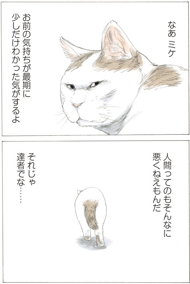 人間ってのもそんなに悪くねえもんだ （C）やすらぎさん、にごたろ／KADOKAWA