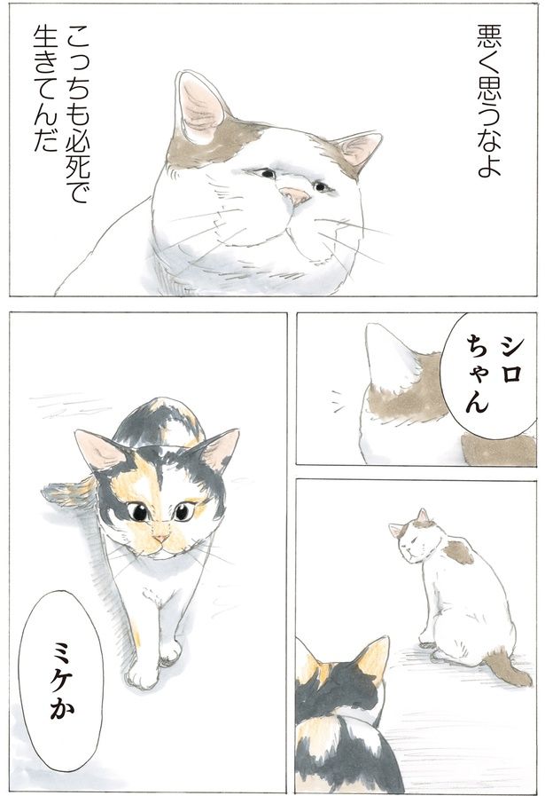 悪く思うなよ （C）やすらぎさん、にごたろ／KADOKAWA