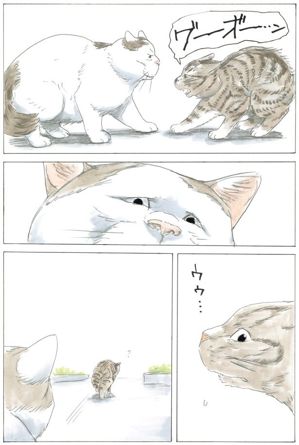 ウウ… （C）やすらぎさん、にごたろ／KADOKAWA