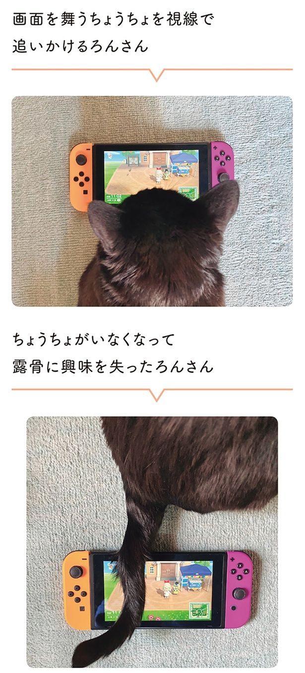 露骨に興味を失ったろんさん （C）AKR／KADOKAWA