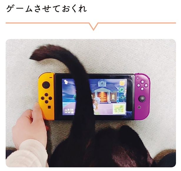 ゲームさせておくれ （C）AKR／KADOKAWA