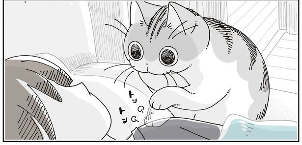 トントン （C）キュルZ／KADOKAWA