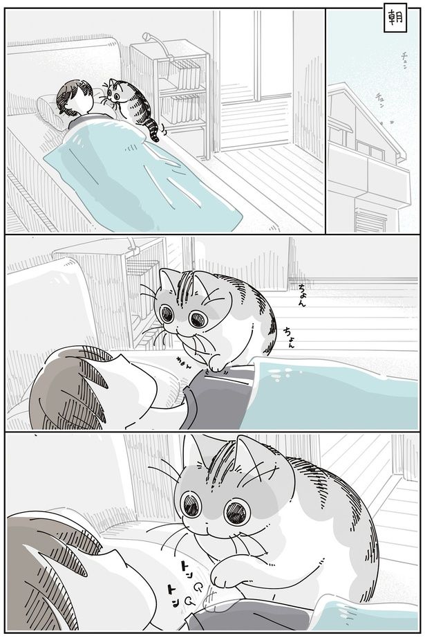 ちょんちょん （C）キュルZ／KADOKAWA