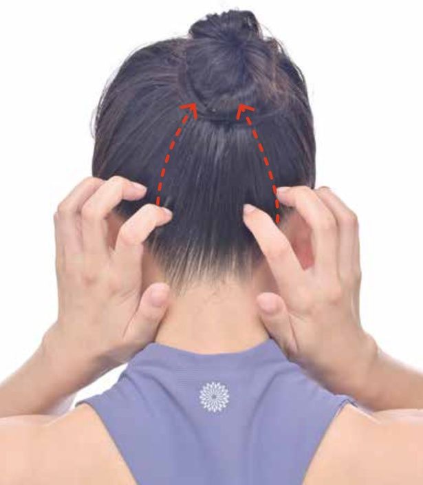 後頭部～頭頂部をなぞる (C)はちみつMIO(加藤美緒)／KADOKAWA