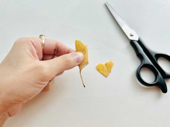 秋の色をそのまま楽しむ。イチョウの葉でつくる「蝶々」「きつね」。お散歩中に見つけたらやってみて♪