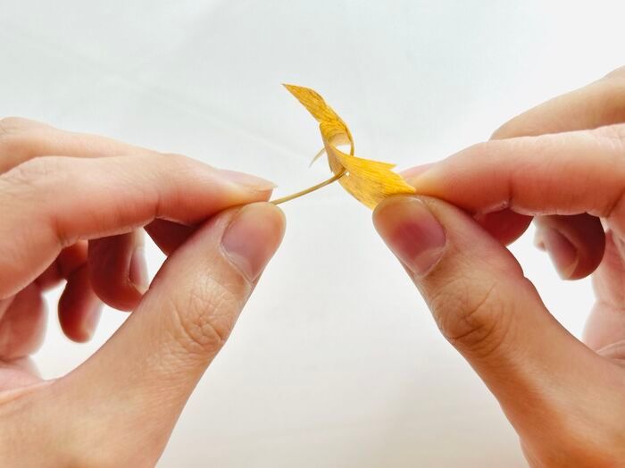 秋の色をそのまま楽しむ。イチョウの葉でつくる「蝶々」「きつね」。お散歩中に見つけたらやってみて♪