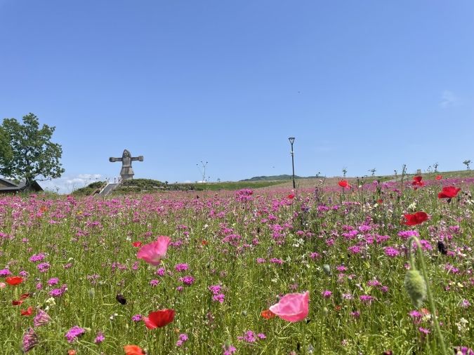 恋ぼたる 周辺・筑後広域公園