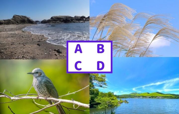 大人の心理テスト 3択 霊感