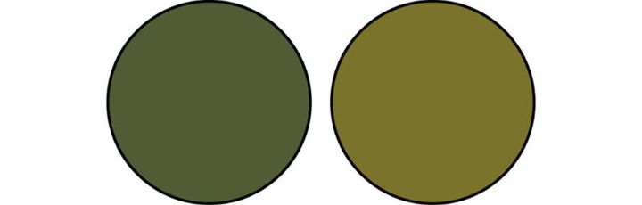 イエベさんに似合う“黄緑が深まった色”のカーキ２色