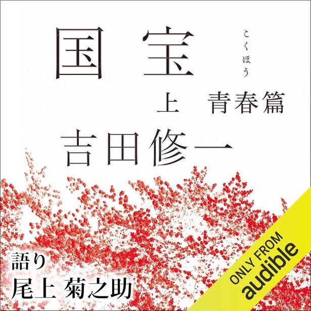国宝 上 青春篇 Amazonより